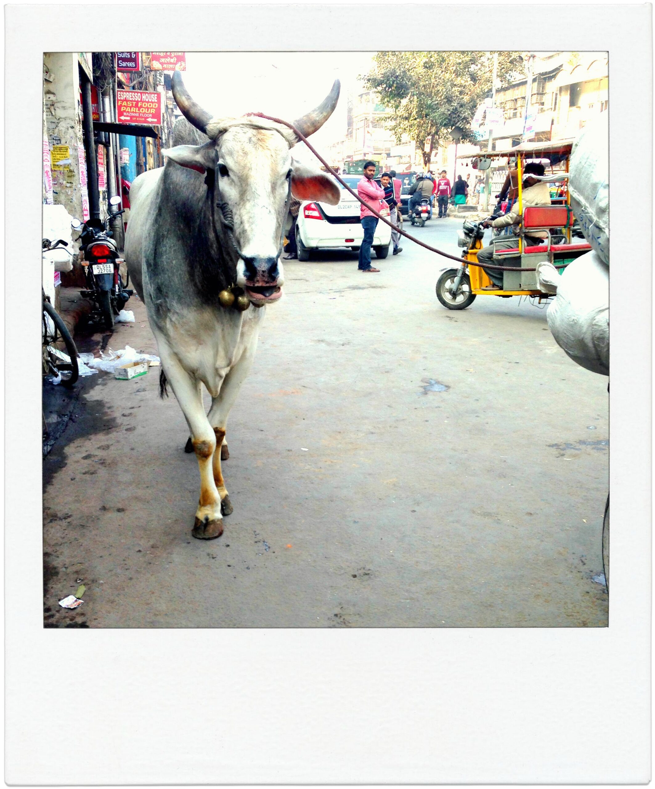 Phone-274_picmonkeyed_picmonkeyed.jpg