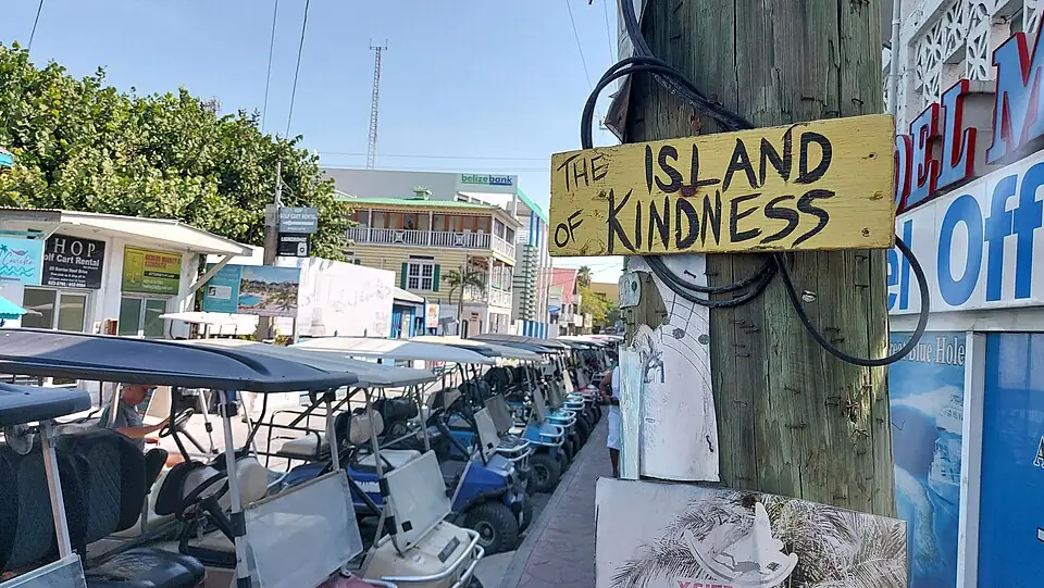 A long row of parked rental golf carts lining a street, with a hand-painted wooden sign reading 'The Island of Kindness' nailed to a utility pole and shopfronts behind.