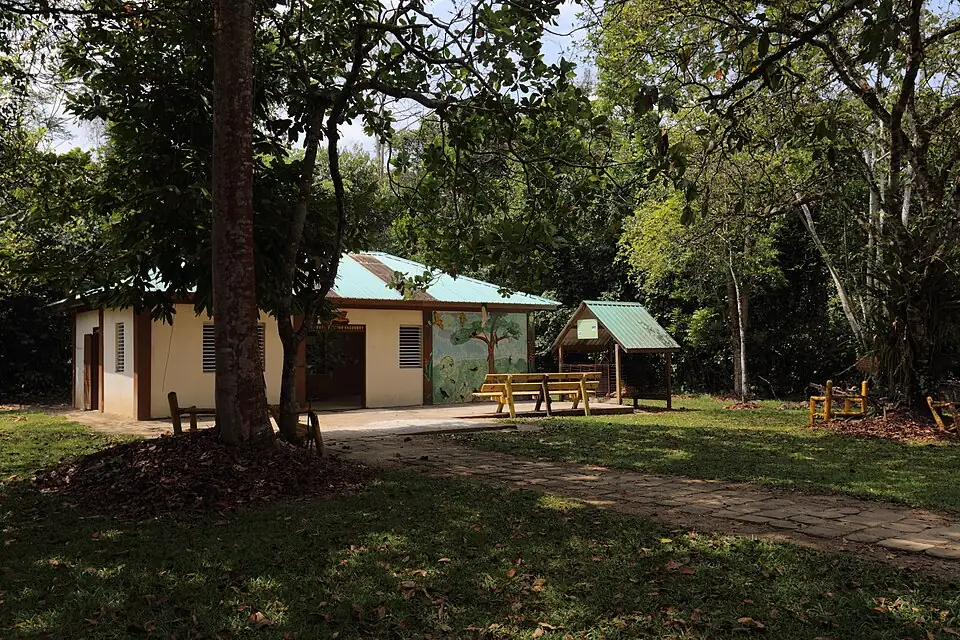 A small single-storey visitor centre with a green metal roof and a painted wildlife mural, a picnic shelter beside it, set in a clearing among tall forest trees.