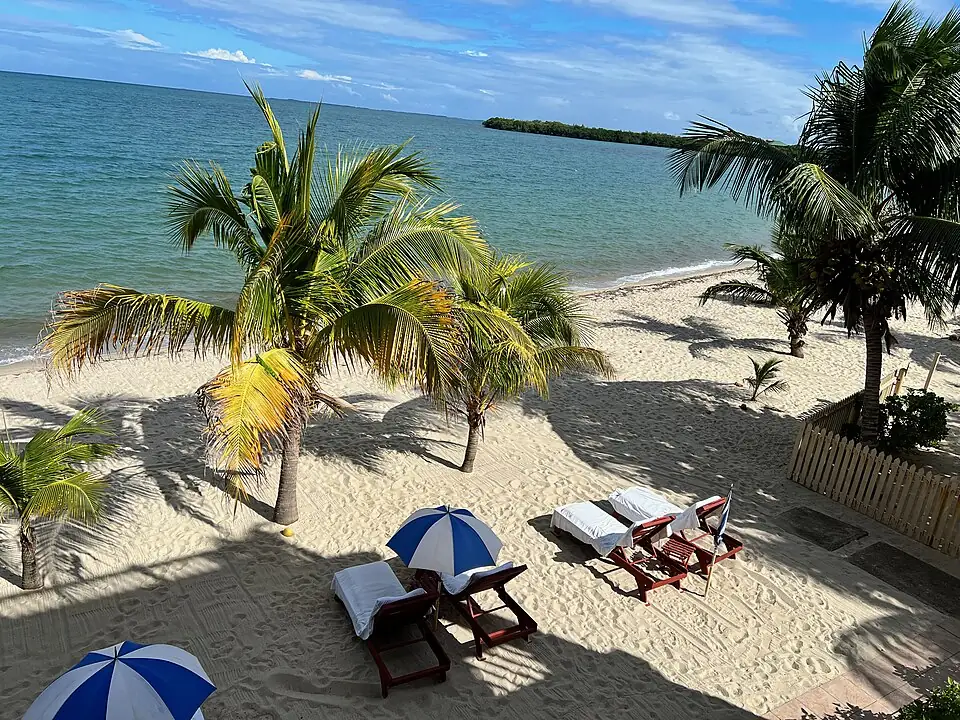 A palm-lined sand beach on the Placencia peninsula, with wooden loungers and blue-and-white umbrellas above the waterline.