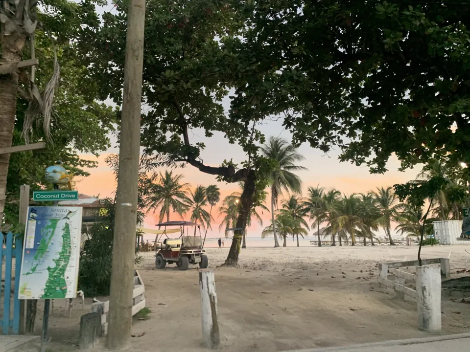 Sunset over the sand at the end of Coconut Drive in San Pedro, with a green street sign, a parked golf cart and a row of coconut palms along the shore.