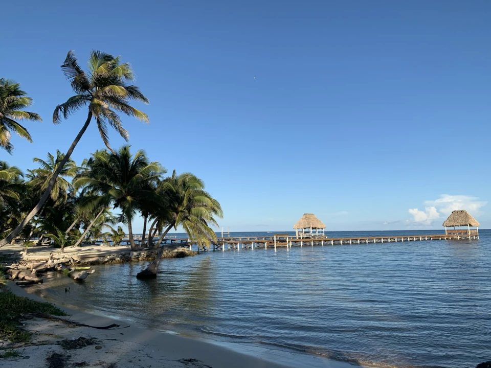 Coconut palms leaning over a sand shore on northern Ambergris Caye, with two piers running out to thatched palapas.