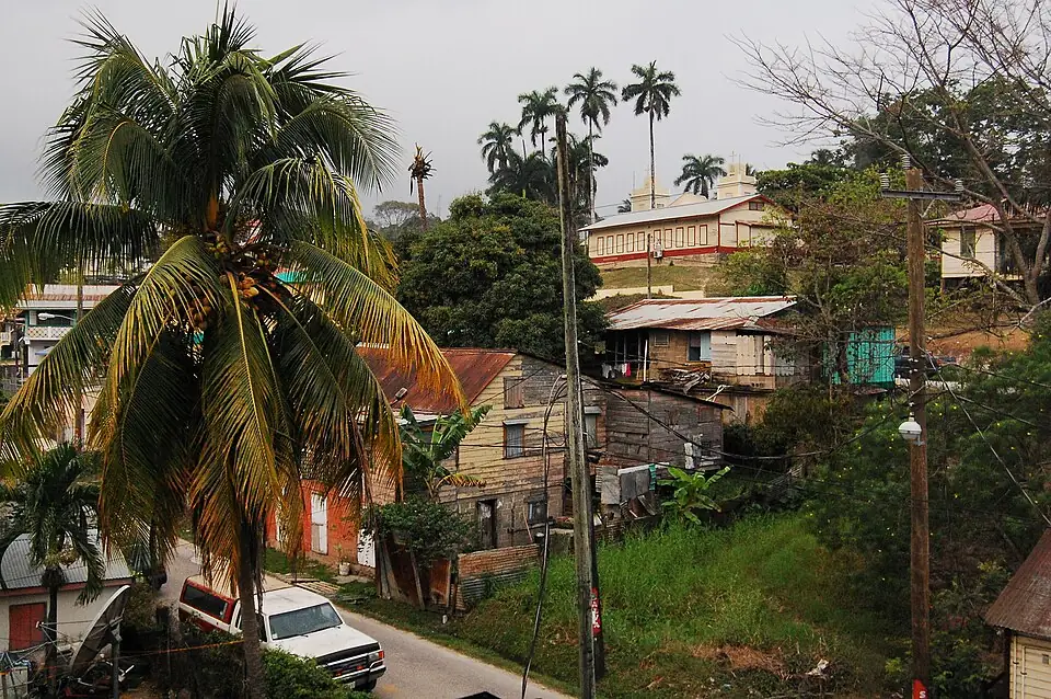 Timber and tin-roofed houses on a hillside street in San Ignacio, Cayo, with coconut palms rising above them.