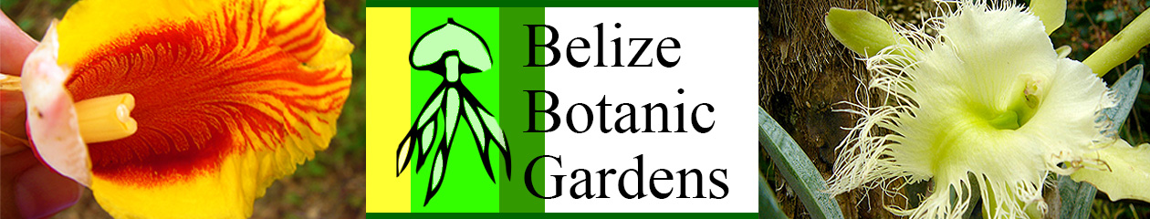 Belize Travel Blog