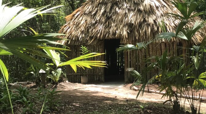 So Much To See at Belize Botanic Gardens